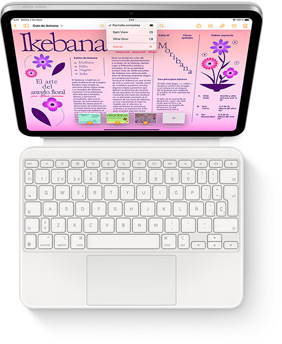Vista desde arriba del iPad con un Magic Keyboard Folio en blanco.
