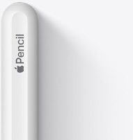 丸みのあるApple Pencil（第2世代）の上部。AppleのロゴとPencilという文字が見える。